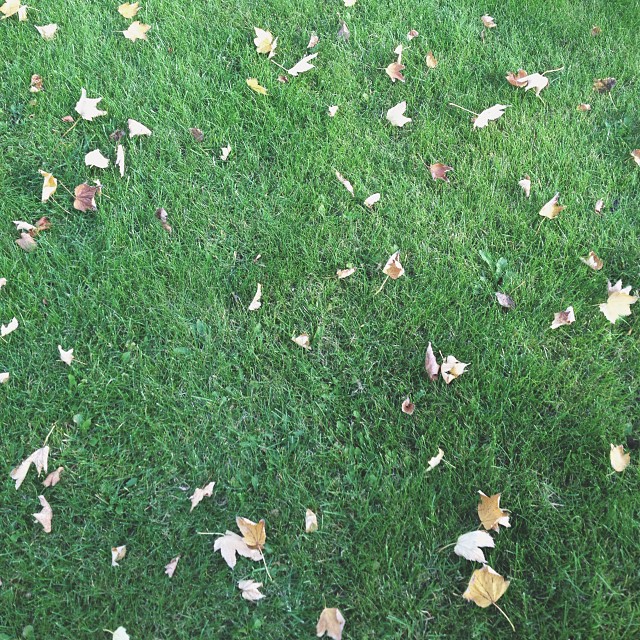 2d3c641e328411e3a0b722000ae911ee_8