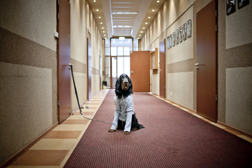 Łódzka szkoła filmowa