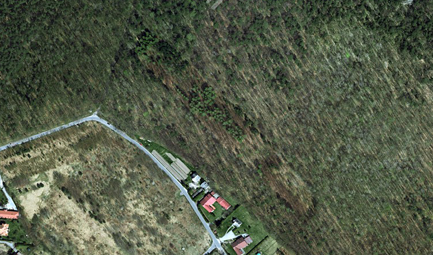 LO 5055 / Las Kabacki / Google Maps